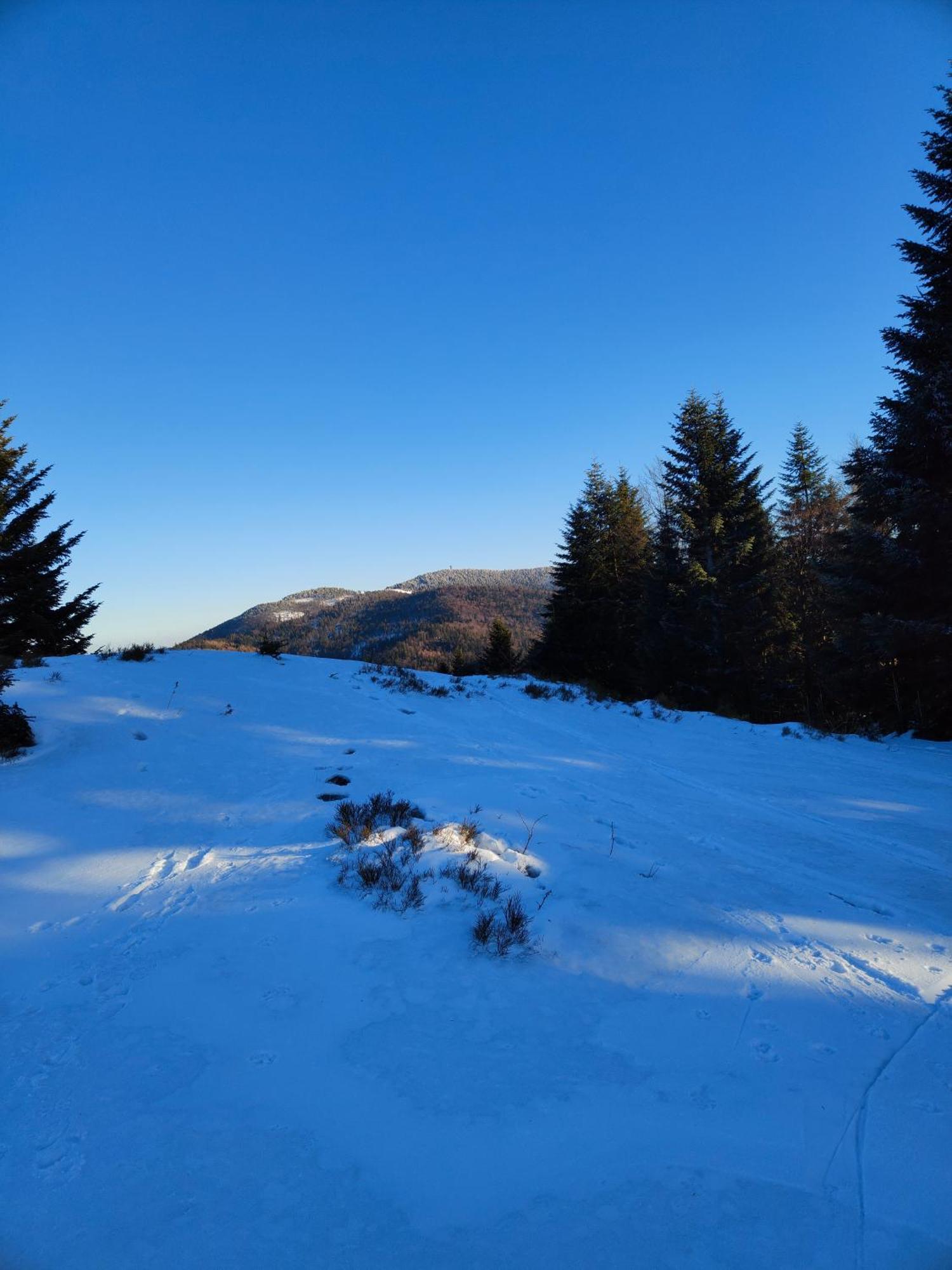 Blizejgorcow Villa Lubomierz  ภายนอก รูปภาพ